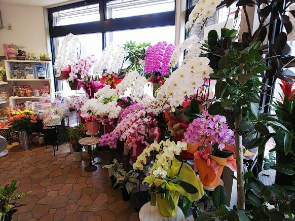 「なごや花壇」　（愛知県名古屋市北区）の花屋店舗写真1